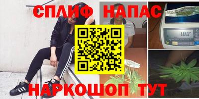 прущие грибы Бузулук