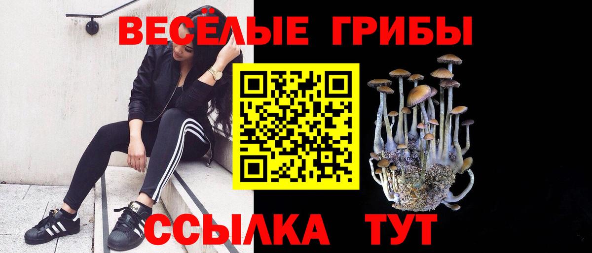 Галлюциногенные грибы Psilocybine cubensis Первоуральск